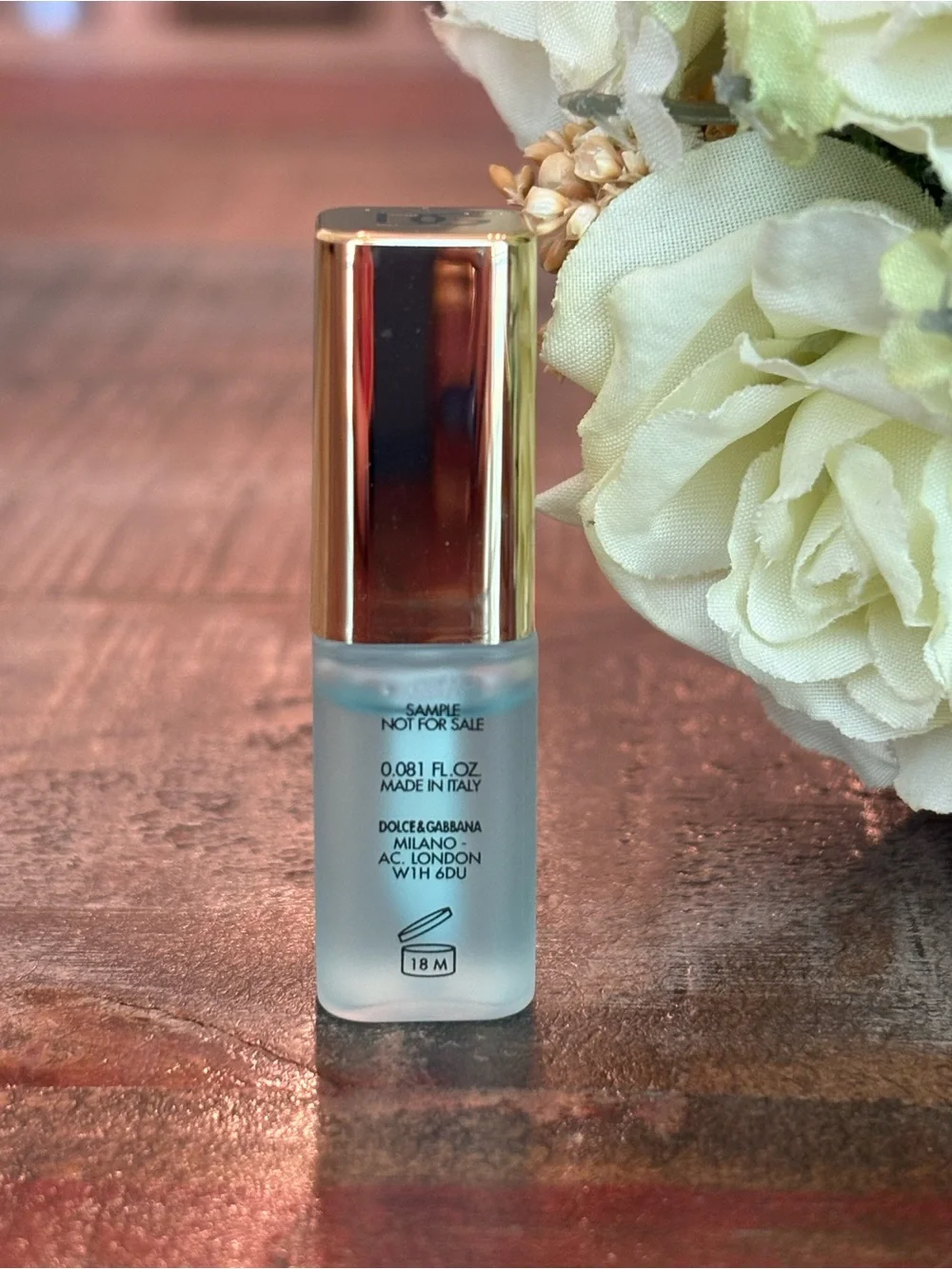 NEW Dolce & Gabbana MINT OIL LIP PLUMPER Mini!